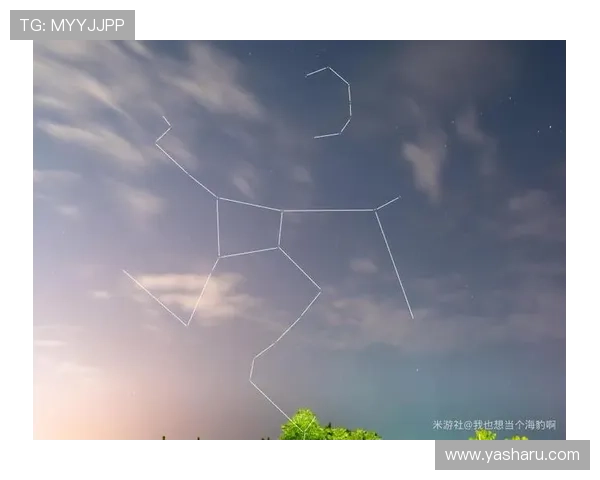 星空电子入口操作指南,帮助用户轻松掌握使用技巧与流程 星空电子入口操作指南,帮助用户轻松掌握使用技巧与流程