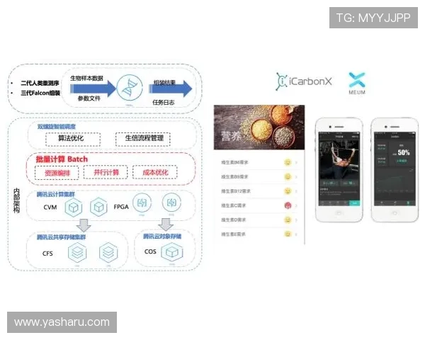星空娱乐用户登录流程详解让你快速进入精彩内容