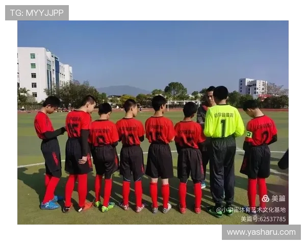 星空体育手机版会员登录成功后可以享受哪些专属权益和最新优惠