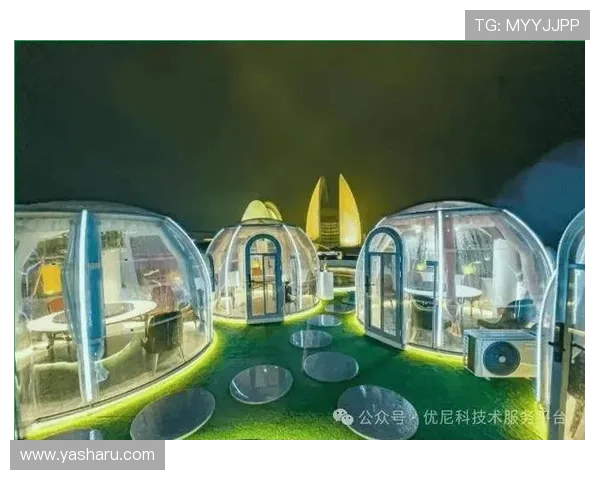 星空地址平台的优势与应用场景深入分析帮助户外爱好者